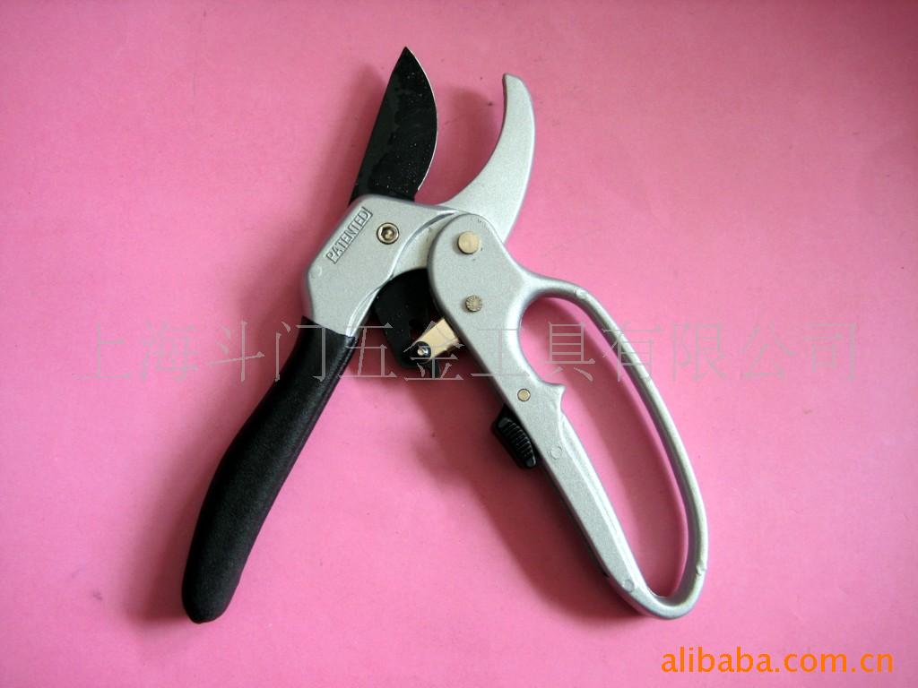 ߵʡ