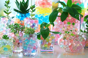 Ϲ+---crystalbeans,waterbeans
