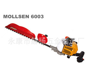 MOLLSEN6003