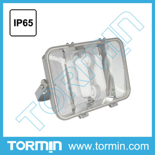 TorminӦZY8130AӦ㽭ͨ
