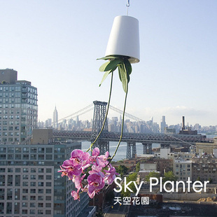ƷSkyplanter(ջ԰ִղֻ