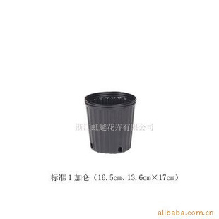 ׼1