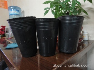 ԰֣̻Ӫ粧13*16=0.04Ԫ