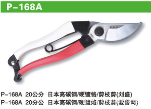 ̨ʢ̨P-168A