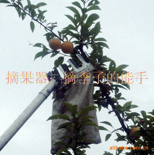 ժ-YH112