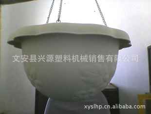 Դϻ踡¿ӡ