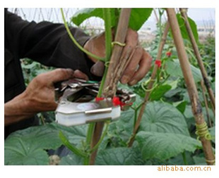批发台湾绑枝器绑枝机SONOj99tapetool绑枝机.绑蔓机