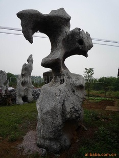 1421542广州直销三头鹰园林石、太湖石景观石、古怪石