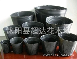 特价秒育苗袋营养钵营养袋营养杯塑料替代花盆育苗盆