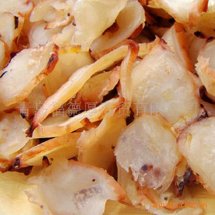 ൺζزóԲͣˬڹľѬƬ