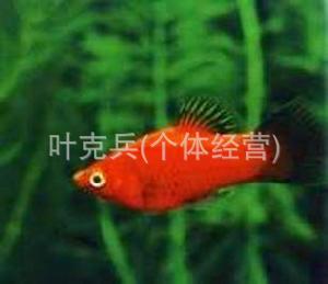 β¹