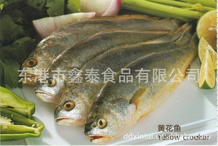ƻ㺣ʲƷˮƷ