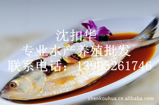 һ㣬4㣬̩ˮƷ