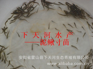 -硢Ƭ