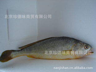 һϼɽ䵺ζ