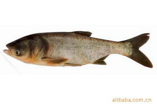 ˮ绶ӭϿͻݹ
