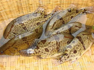 ˮʯݣʻʯ