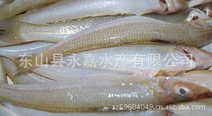 ɽˮ޹˾DongShanYongJiaSeafoodco.,Ltd