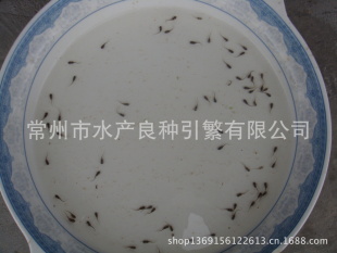 ֳd绶ӭǢ̸