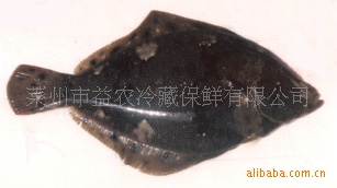ʯʻˮƷں