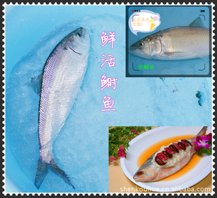 ʻˮˮƷ||||