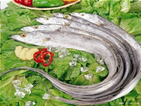 䶳ʴ