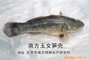ʻӽ10