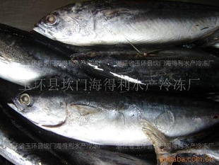 冷冻水产品冷冻鱼类水产鱼类鲣鱼