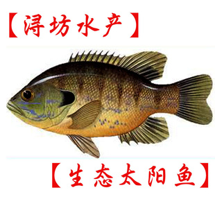 ֱ䱷̬̫2—4