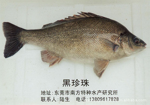 ݸϷˮоʻ