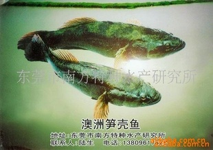 ݸϷˮоʻ50