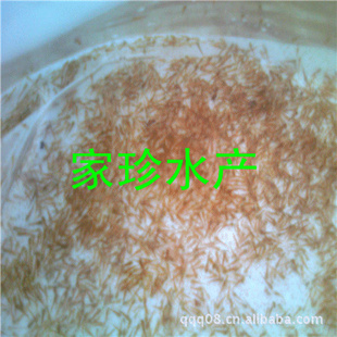 磬ˮֳ