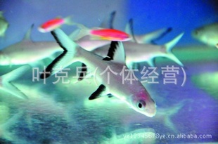 ֳ۸ȴ㣬