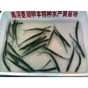 ˮ3.5cmҵ磨ͼ