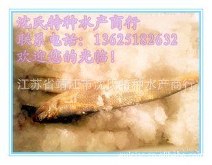 //ƺ/Ұ/ݶ࣡