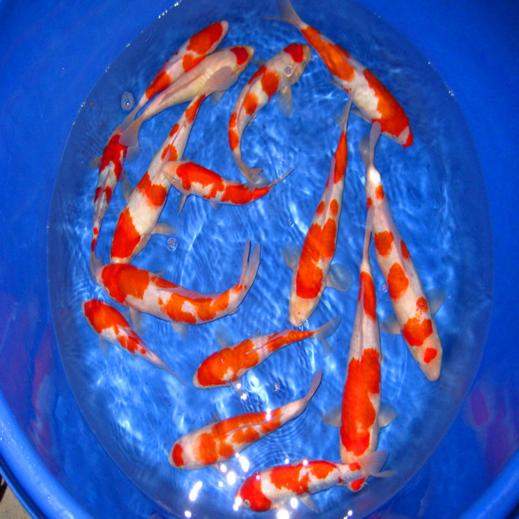 2014/۸/