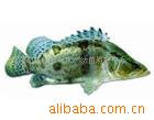 صˮʻƷ