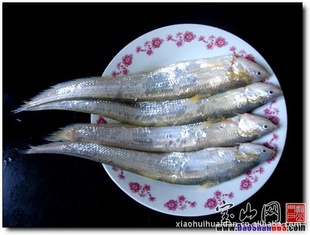 رڳ㣬