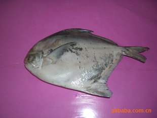 ڶдԶ䶳