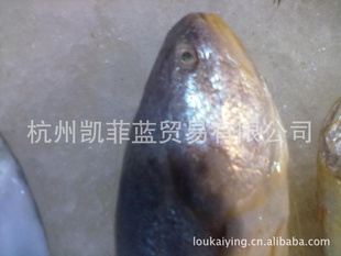 Ƭ㣬̻㣬ƻ
