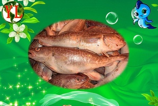 ˮƷԴгѩ