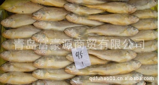 ڻƻ䶳ƻƻ