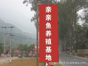 Ȫ