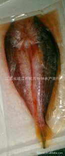 ˽ڣڼ䣬㣬㣬