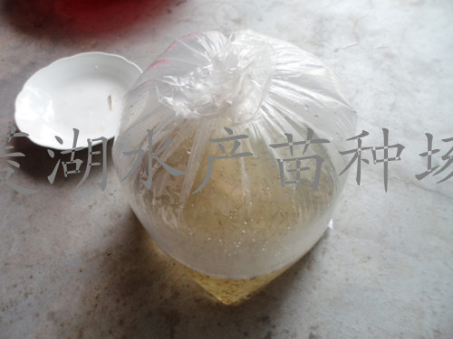 ĴˮĻ