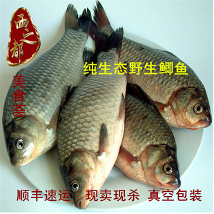 ߴݹ̳Ǻ̫Ұ2-3