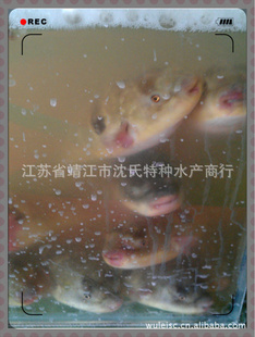 ˽ڲȽ22.5ԪһҪô٣