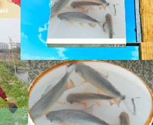 иԽÿ磺ˮ