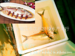 رƷ㣬ӭϿͻ紹ѯ