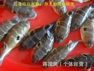 ˮʺֳ޺